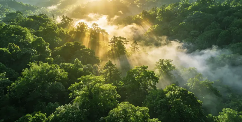 株洲肺癌（EGFR T790M)突变检测图片1