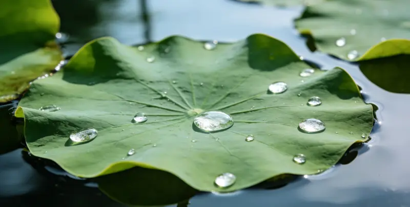 株洲乳腺癌21基因mRNA表达分析图片1