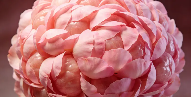 株洲BRCA1/2乳腺癌卵巢癌基因检测图片1